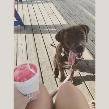 11348378_1483734908585343_1703820814_n