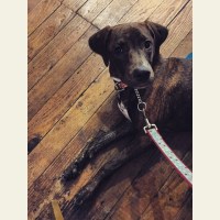 11375890_367008593504059_76391422_n